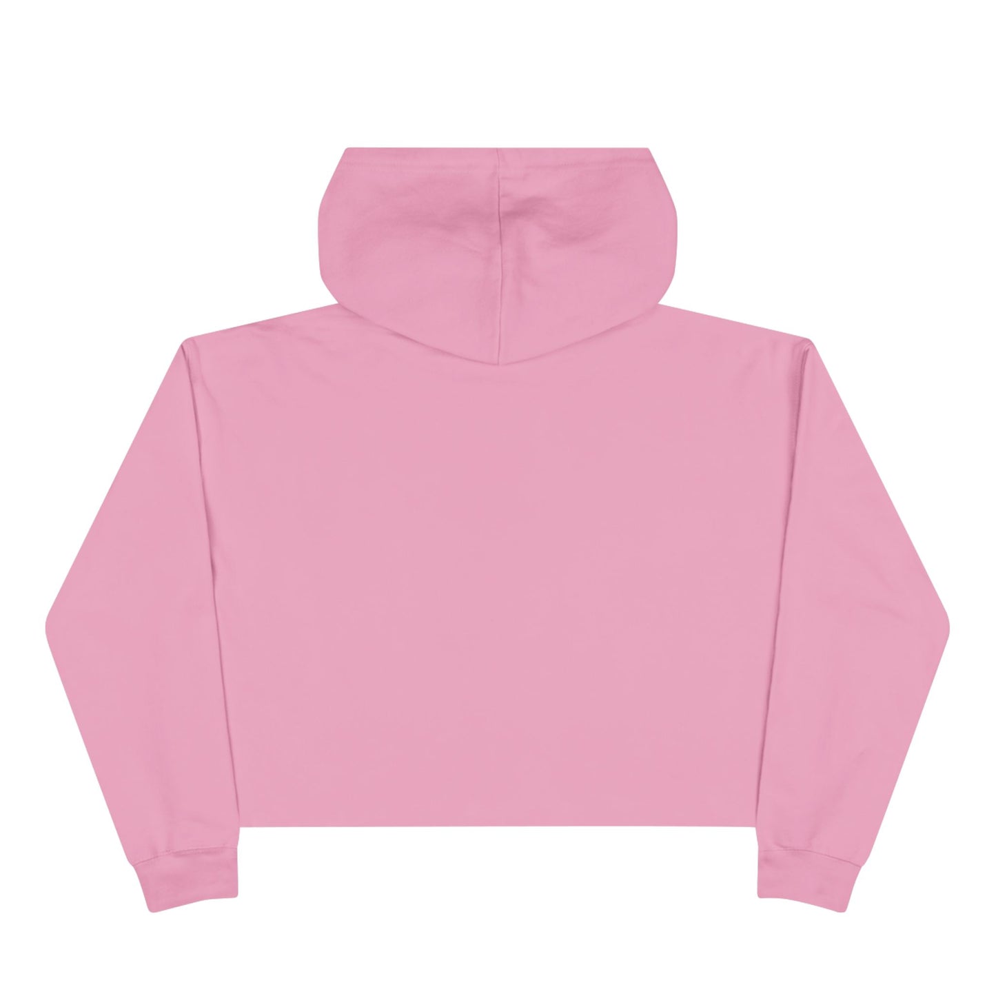 Miniskirt Appreciation Crop Hoodie